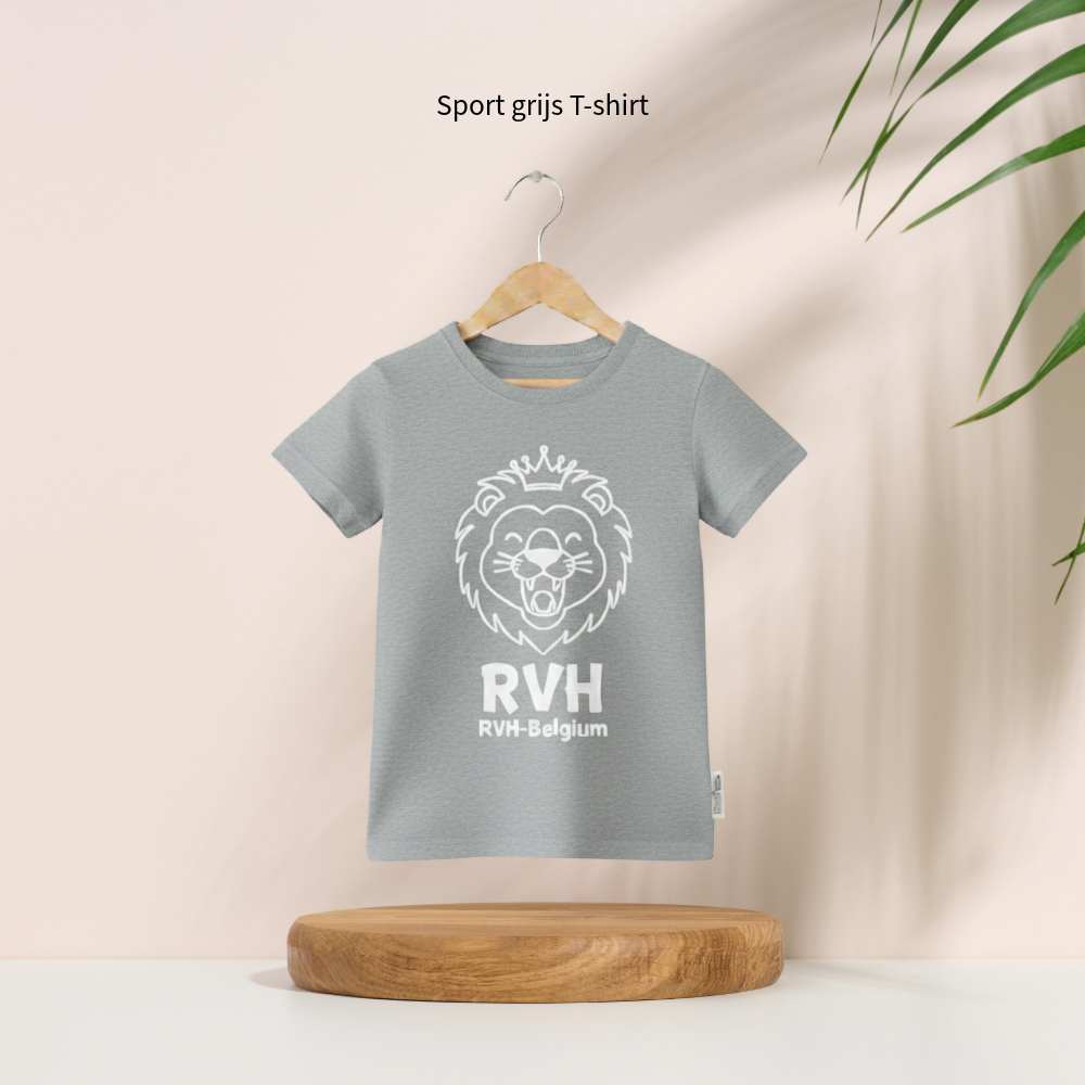 T-shirt_kind_Sport-grijs.webp